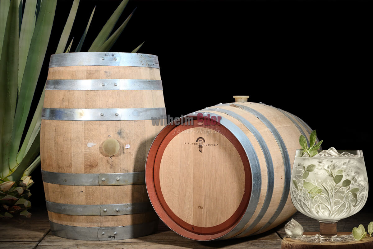 ginfass_115l_agave_australien_4
