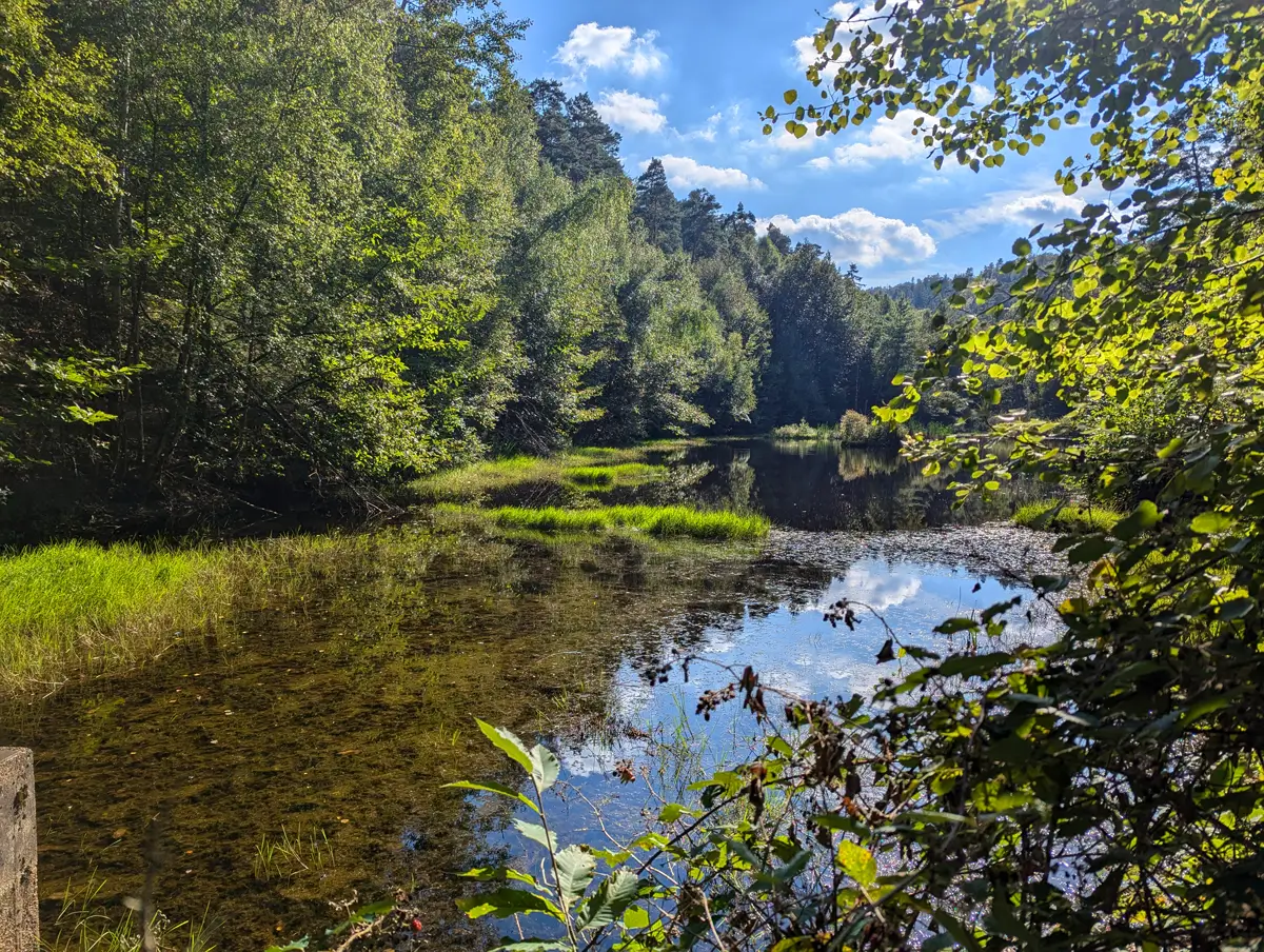 Partner des Biosphärenreservats Pfälzerwald-Nordvogesen