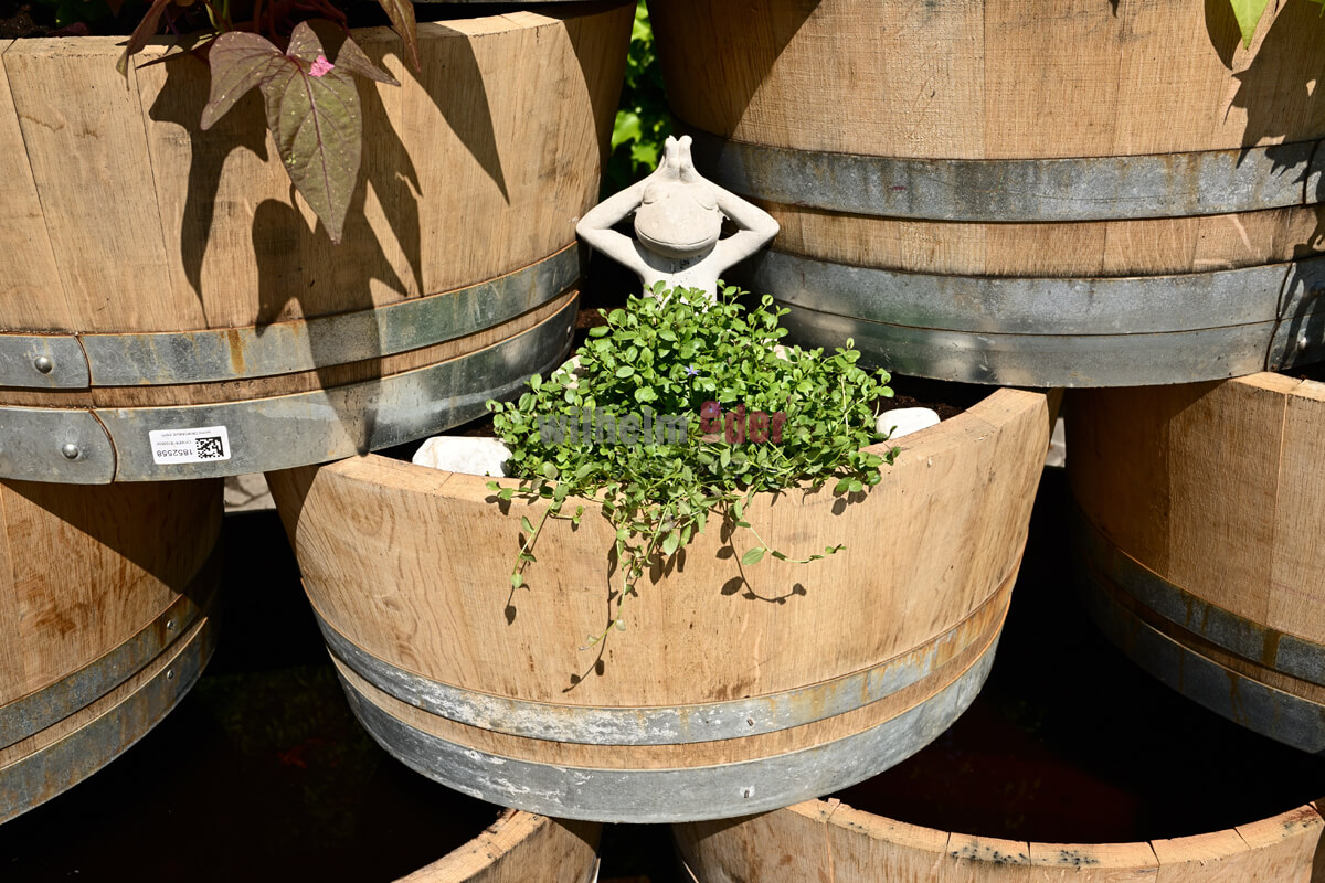 viertel_blumenkuebel_sonderaktion_2Mm5SCcYy5wGAY