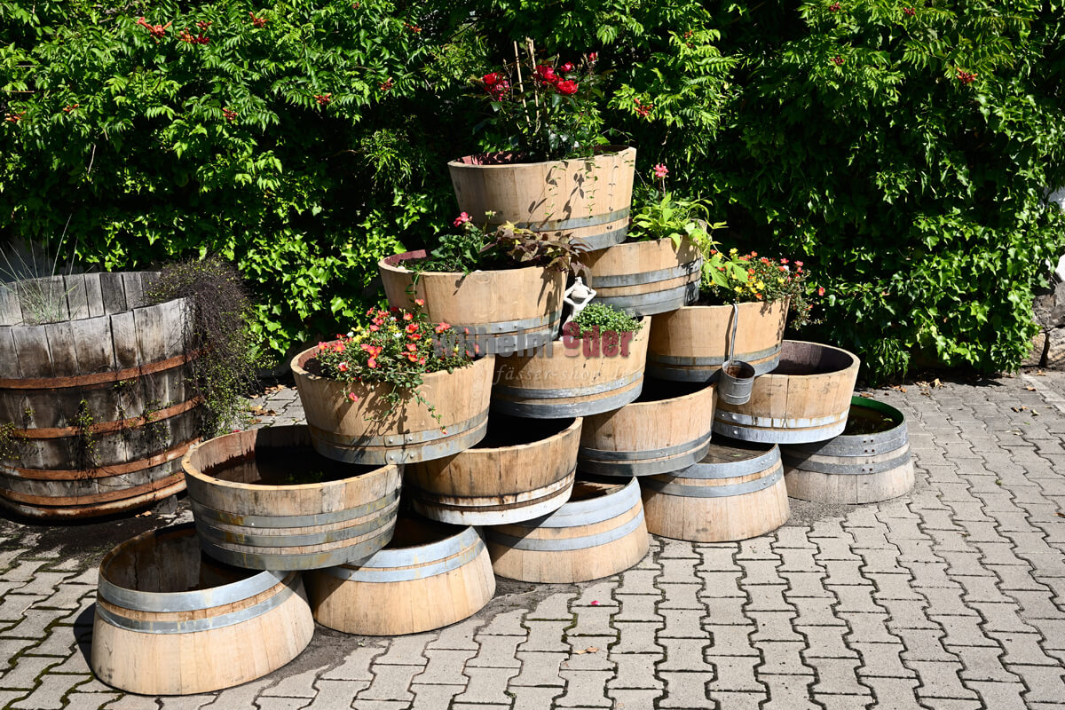 viertel_blumenkuebel_sonderaktion_1f9D72pSQJ2wER